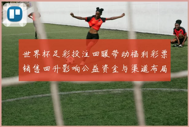 世界杯足彩投注回暖带动福利彩票销售回升影响公益资金与渠道布局